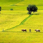 Một đốm lửa phản tỉnh - Tùy bút Nguyễn Hữu Hồng Minh